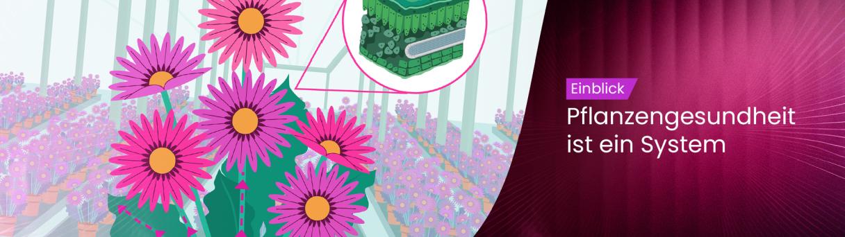 plant_health_is_a_system_german_1920x600.jpg