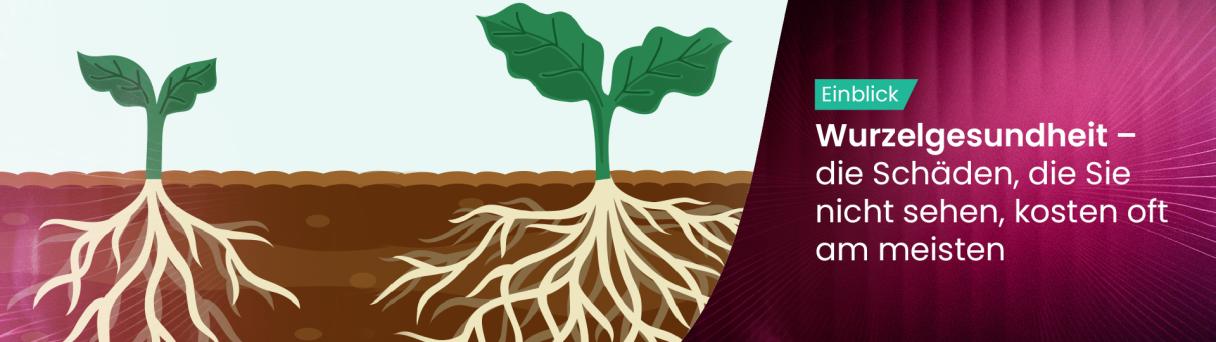 root_health_german_1920x600.jpg