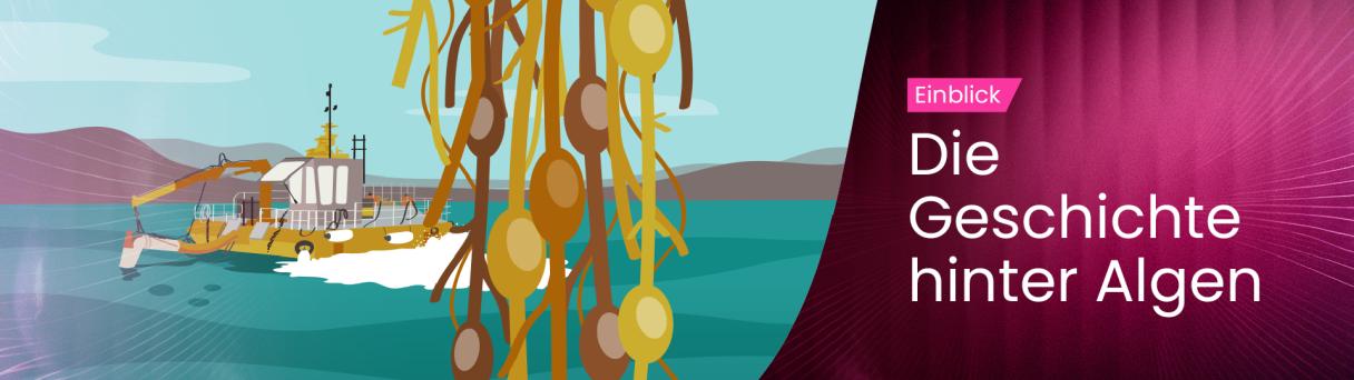 the_story_behind_seaweed_german_1920x600.jpg