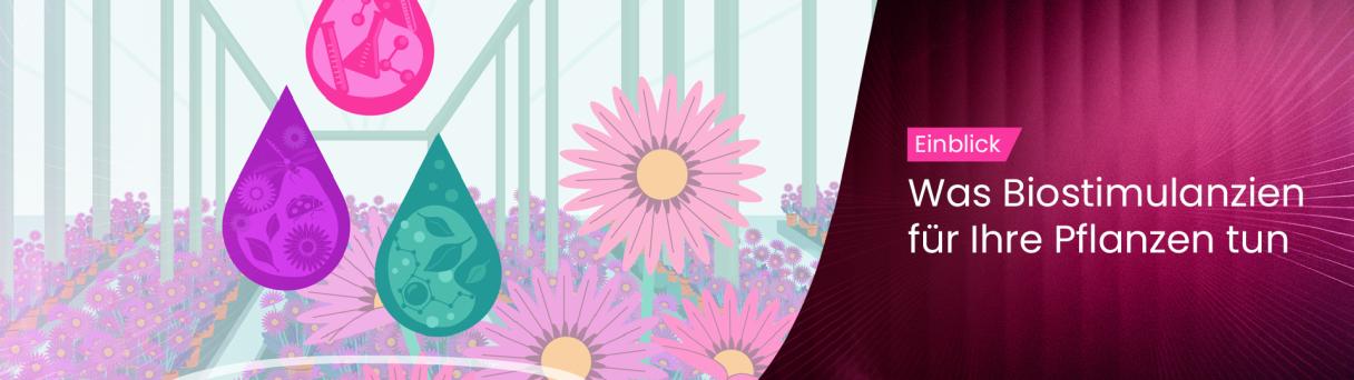 what_biostims_do_for_your_plants_german_1920x600.jpg