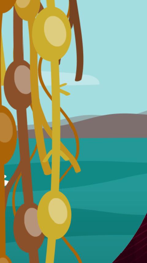 the_story_behind_seaweed_danish
