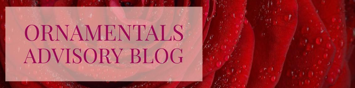blog_banner