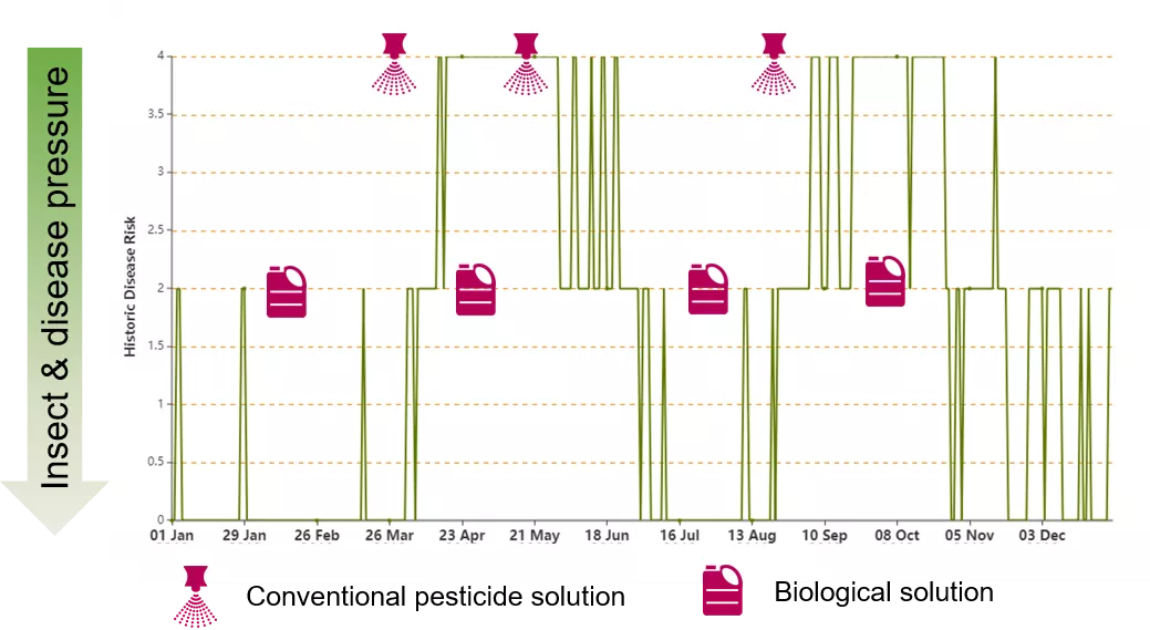 graph_2