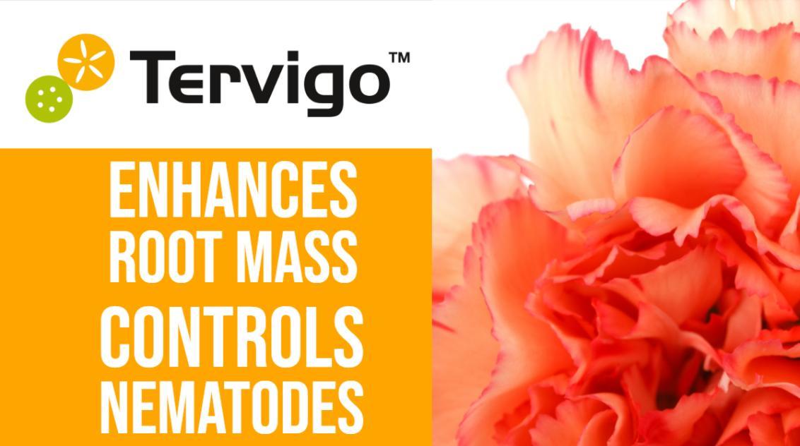 tervigo