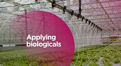 appliying biologicals