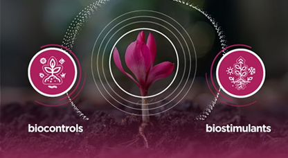 bio