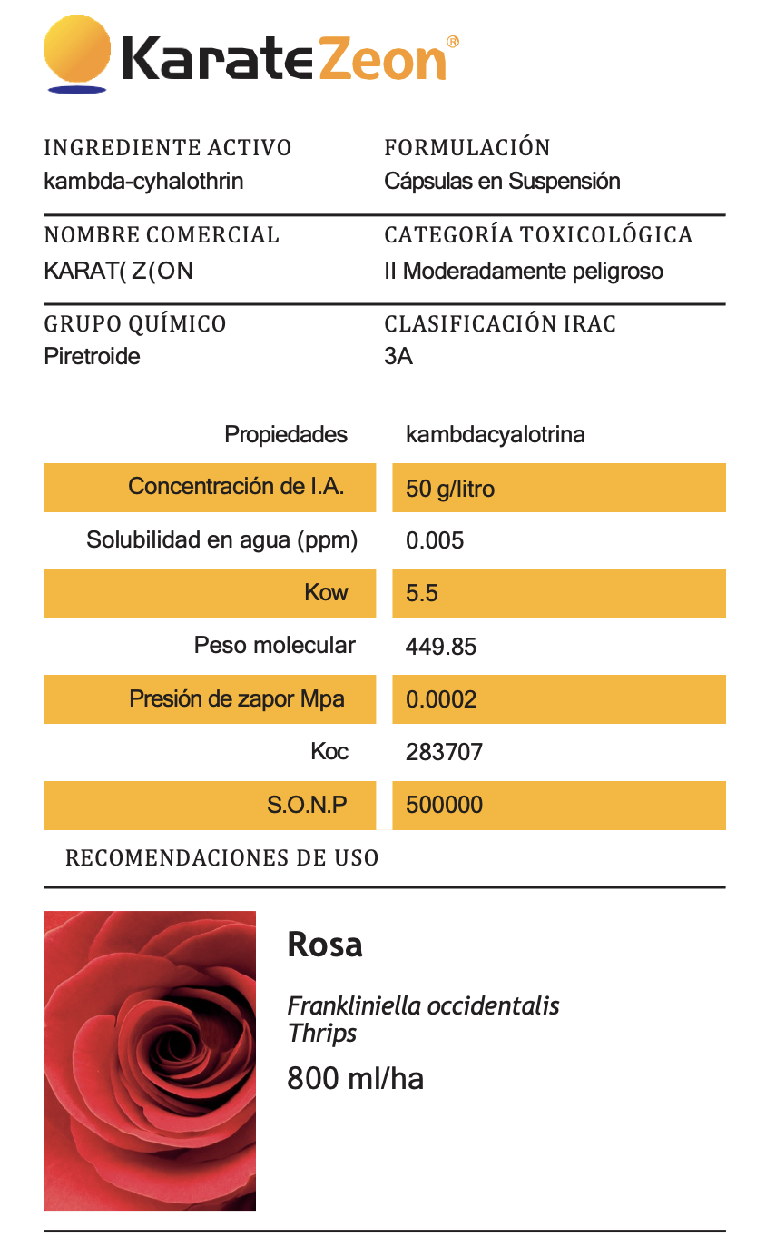 KarateZeon