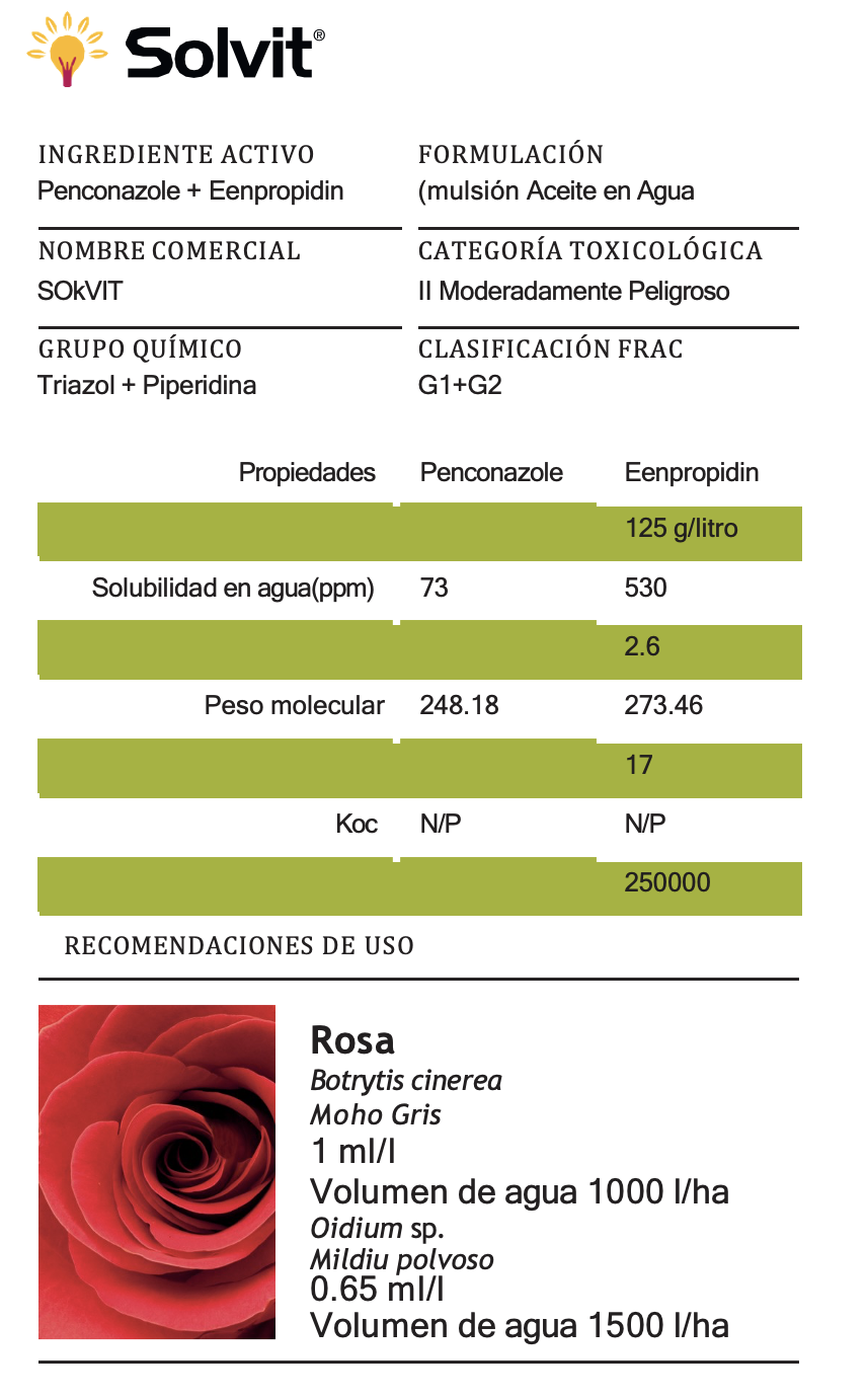 Solvit