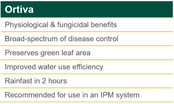 Ortiva Product Benefits