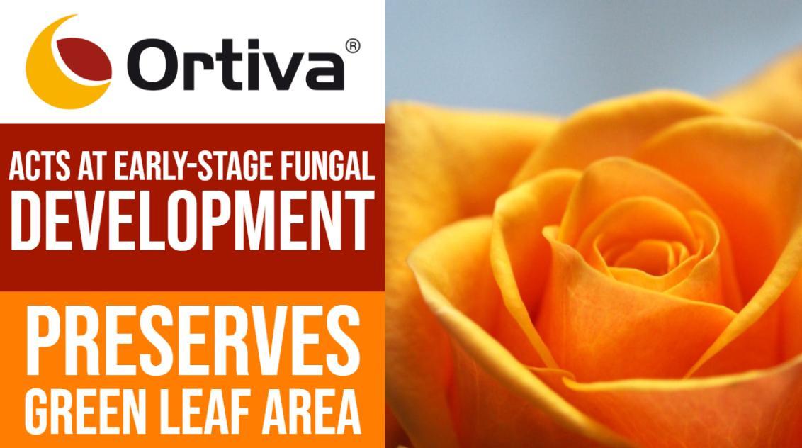 ortiva