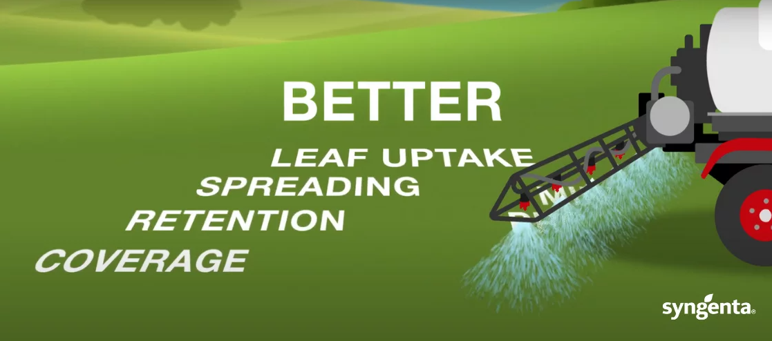 Better leaf uptake