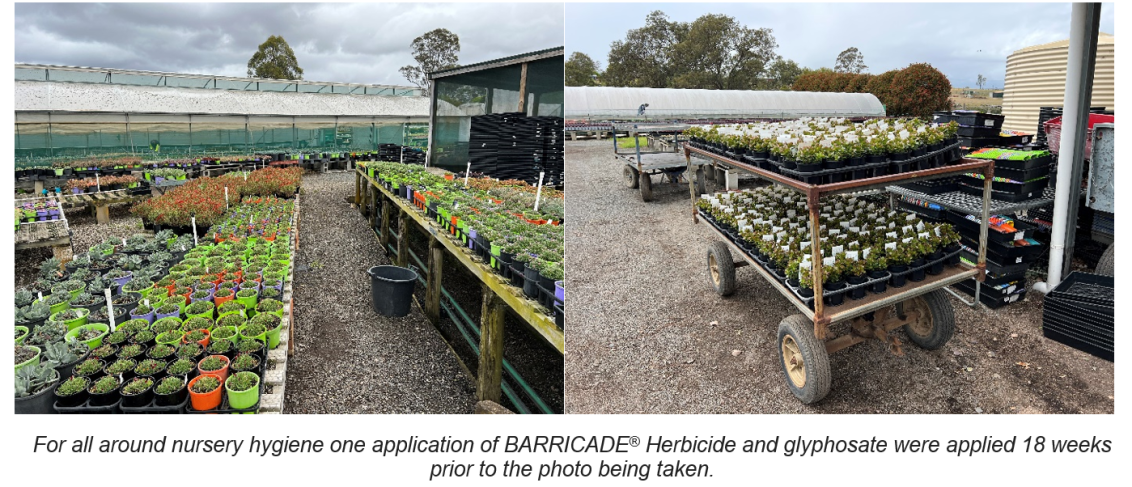 barricade