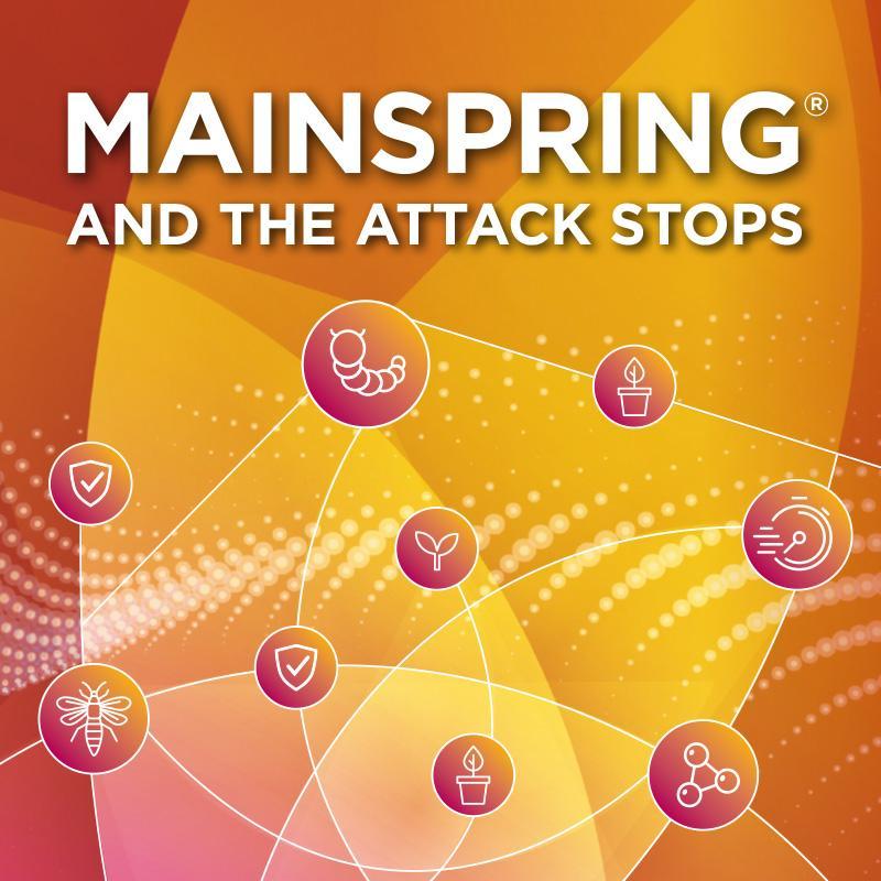 Mainspring