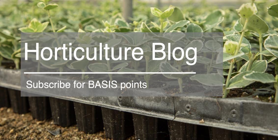 horticulture advice