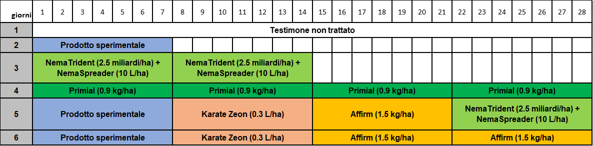 tabella nematrident