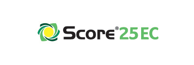 Score25ec