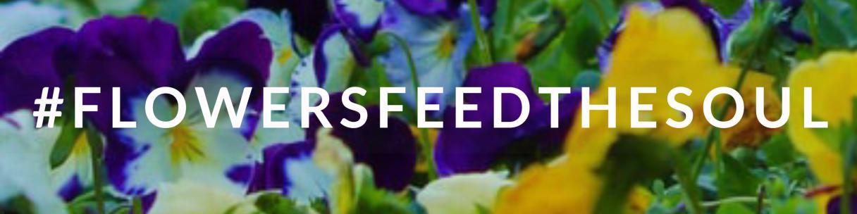 Flower banner