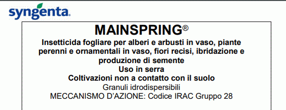 mainspring label