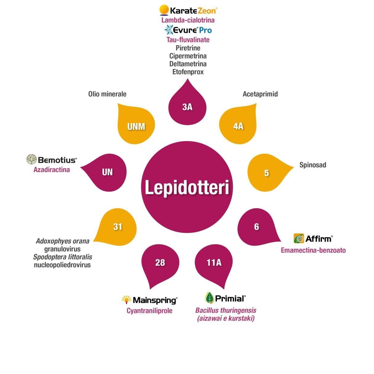 Gestione Lepidotteri