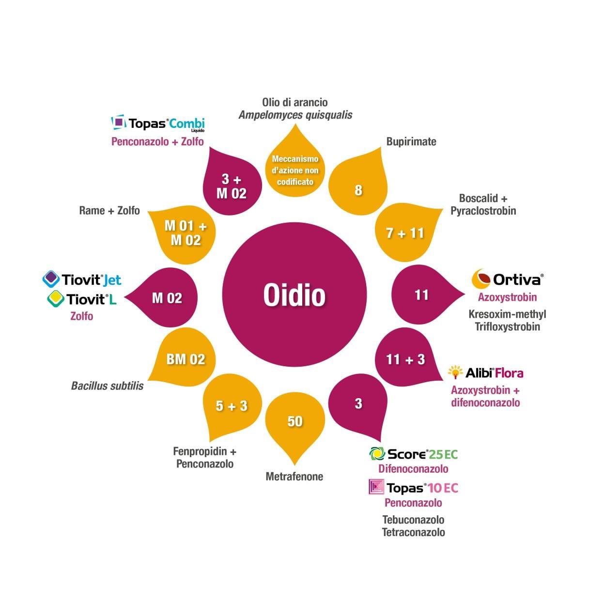 Gestione Oidio