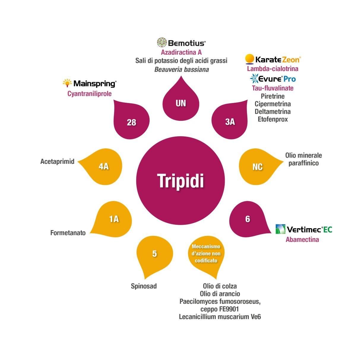 gestione tripide