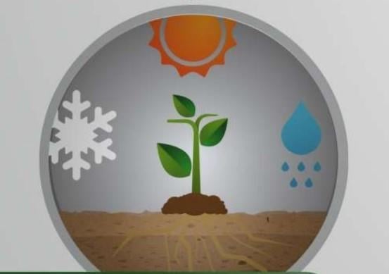 Graphic of a sprouting plant with sun, snowflake, and raindrop icons in a circle