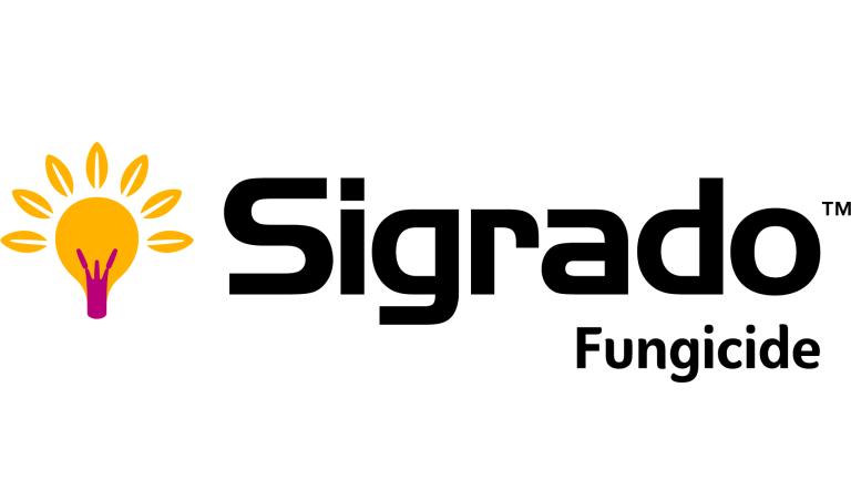 Sigrado