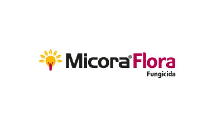 Micora