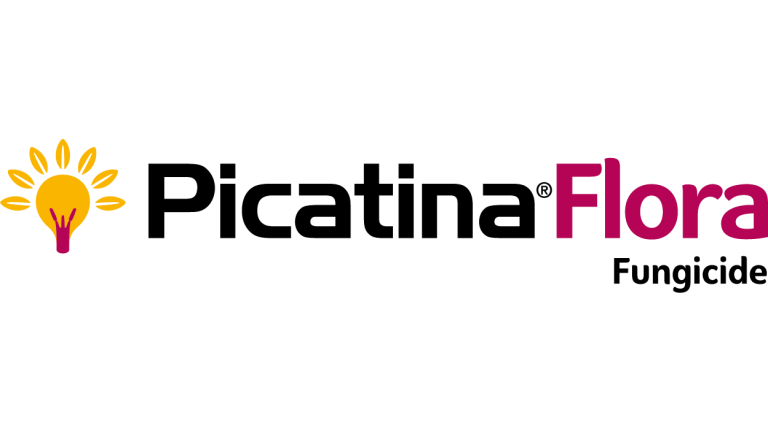 PicatinaFlora