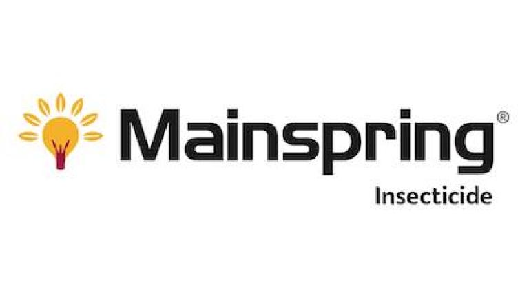 Mainspring
