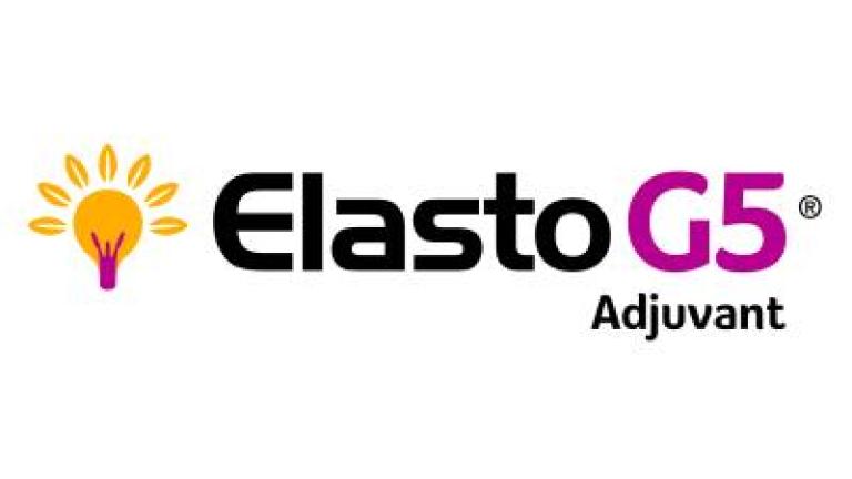 Elasto