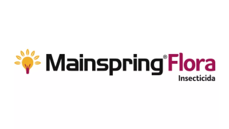 mainspring