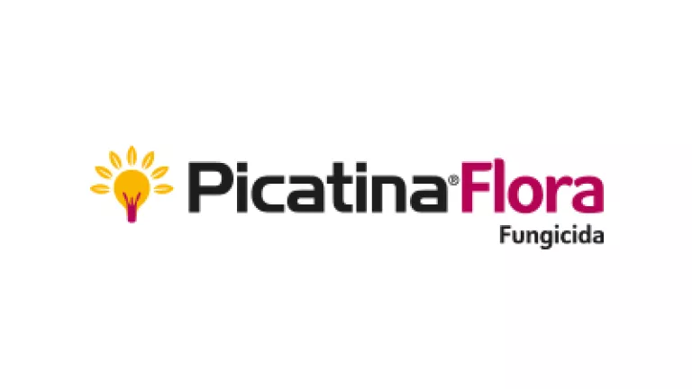 picatina