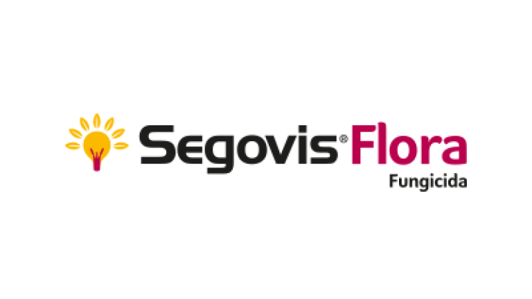 Segovis