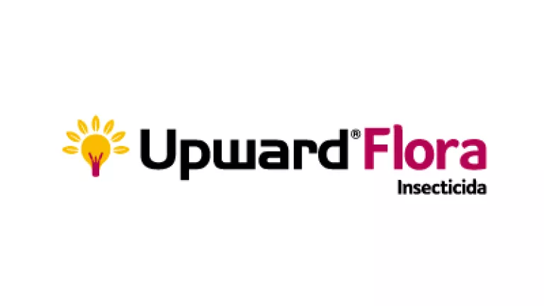 upwadr