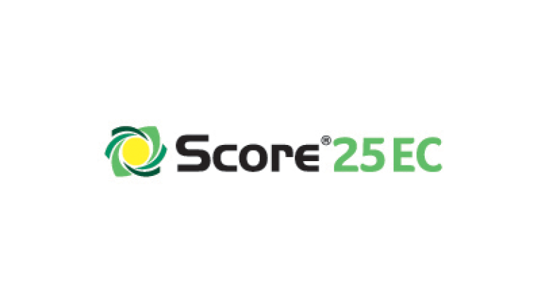 400x135 score 25ec logo