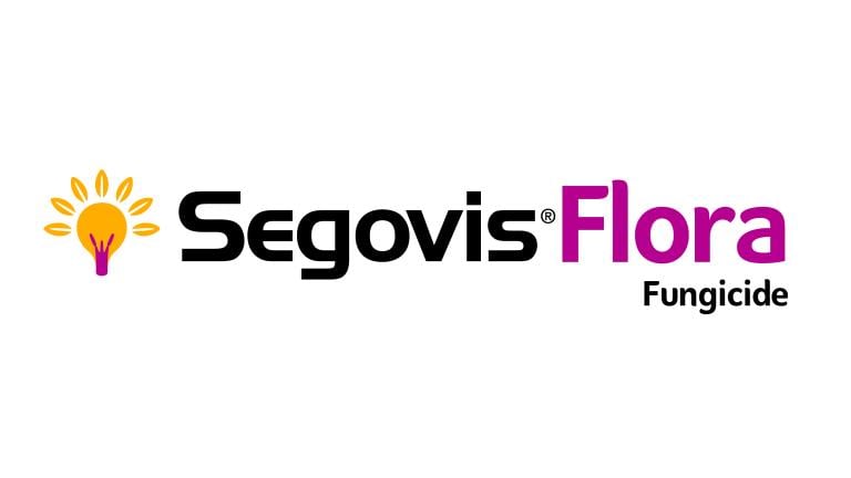 Segovis Flora